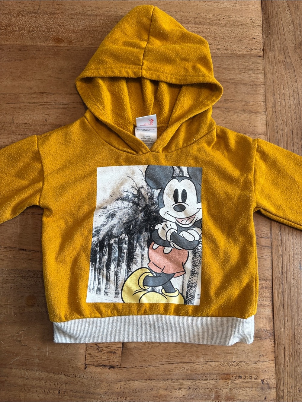 💚 5 for $15/ Disney Mickey Mouse Hooded Pullover